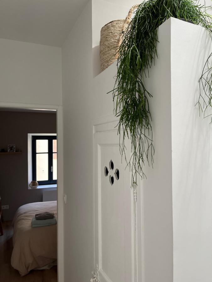 Maison Petite Cote Каркасон Екстериор снимка