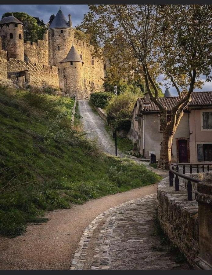 Maison Petite Cote Каркасон Екстериор снимка